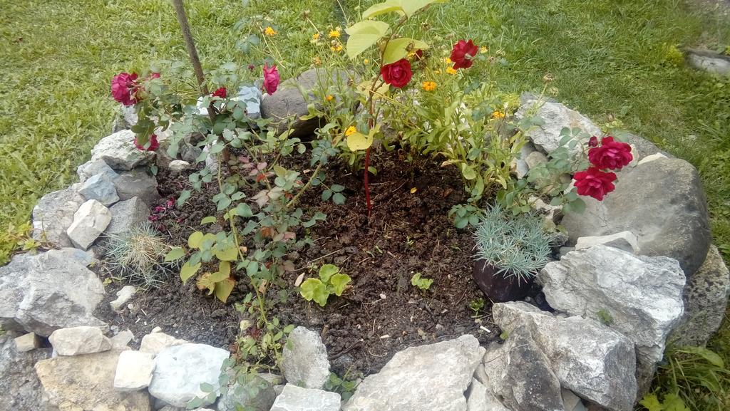 Apartman Ana Mokra Gora Bagian luar foto