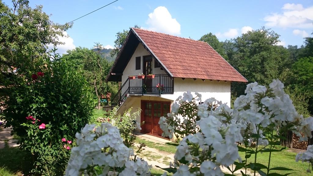 Apartman Ana Mokra Gora Bagian luar foto